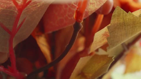 Fake plastic autumn fall flowers macro close up presentation slowly rotatin.. Stock Footage 344700256