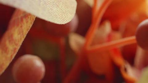 Fake plastic autumn fall flowers macro close up presentation slowly rotatin.. Stock Footage 344700429