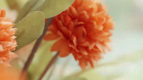 Fake plastic autumn fall flowers macro close up presentation slowly rotatin.. Stock Footage 344700810