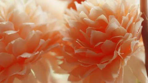 Fake plastic autumn fall flowers macro close up presentation slowly rotatin.. Stock Footage 344701139