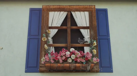 Fake Plastic Flowers in Window Stock Footage 35689812
