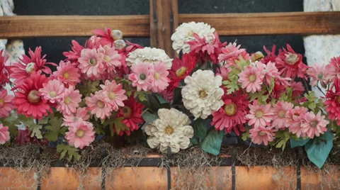 Fake Plastic Flowers in Window Stock Footage 35689951