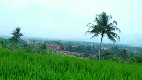 Fake play Video stock 239738737