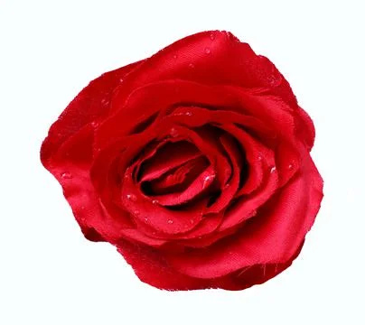 Fake rose white background Stock Photos