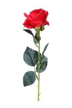 Fake roses Stock Photos