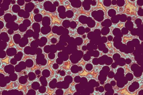 Fake Shape of bacterial cell: cocci. Molecular research microorganisms. micro Stock Illustration