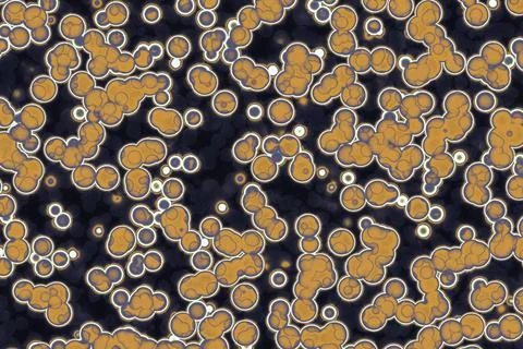 Fake Shape of bacterial cell: cocci. Molecular research microorganisms. micro Stock Illustration