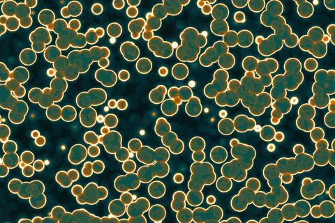 Fake Shape of bacterial cell: cocci. Molecular research microorganisms. micro Stock Illustration