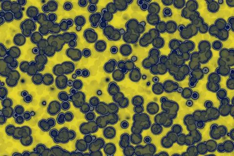 Fake Shape of bacterial cell: cocci. Molecular research microorganisms. mic.. Stock Illustration