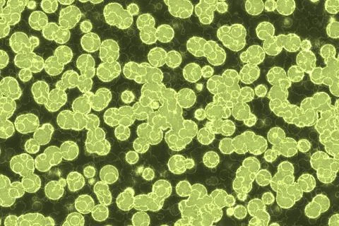 Fake Shape of bacterial cell: cocci. Molecular research microorganisms. mic.. Stock Illustration