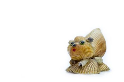 Fake from shells on a white background. Stock Photos