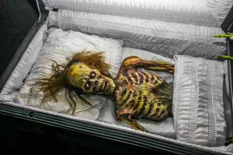 Fake "Skeleton" Inside An Open Casket Foto stock