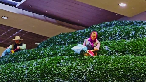 A fake tree house with. Video stock 284103756