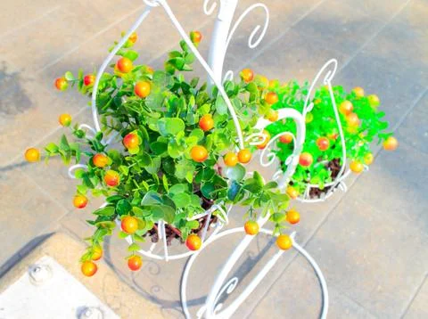 Fake tree Foto stock