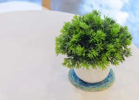 Fake tree in a pot Stock Photos