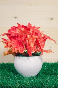 Fake tree vases Stock Photos