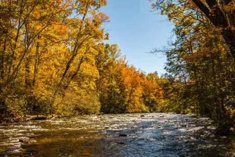 Fal on the Little River at Metcalf Bottoms Stock Photos