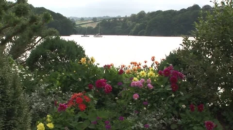 Fal river bank Stock Footage 61575616