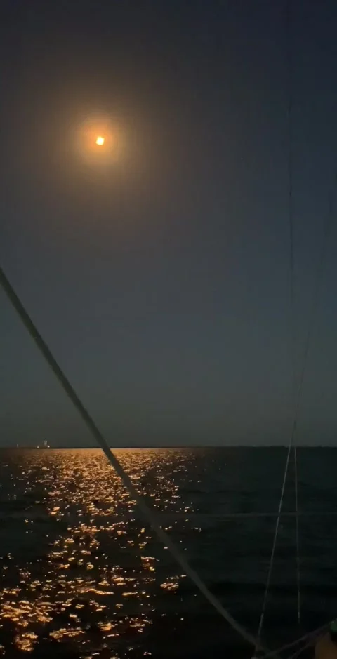 Falcon 9 Space X Rocket Launch, April 30th, 2023 Stock Footage 239958239