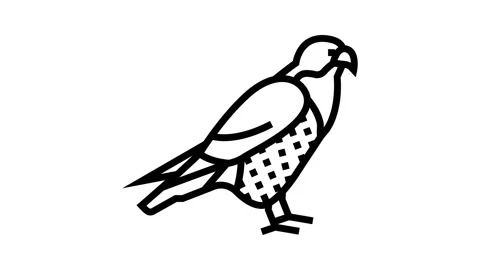 friendly falcon clip art