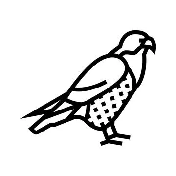 Falcon bird line icon vector illustration Stockillustratie