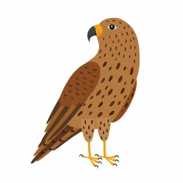 Falcon bird. Vector illustration Isolated on white background. Stock Illustration
