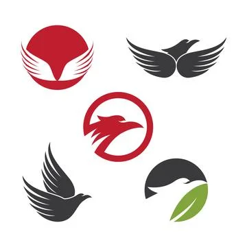 Falcon eagle bird Stock Illustration