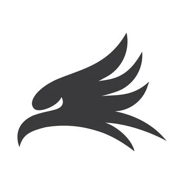 Falcon eagle bird Stock-Illustration