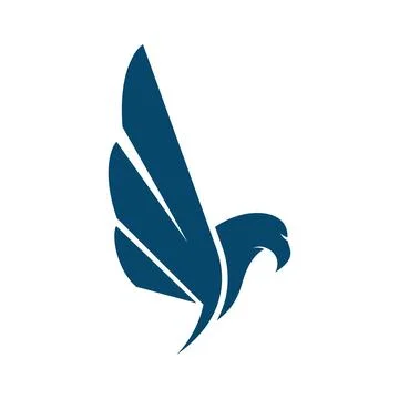 Falcon eagle bird Illustration