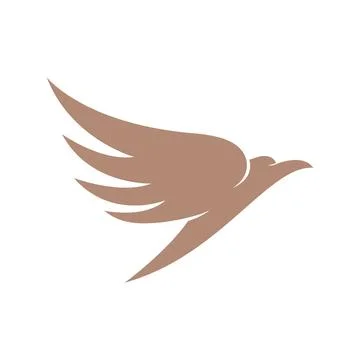 Falcon eagle bird Illustrazione stock