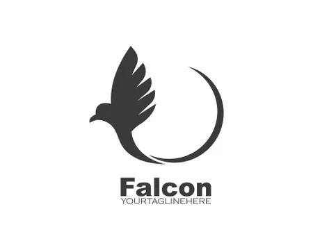 Falcon Eagle Bird Logo Template vector 스톡 일러스트