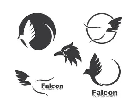 Falcon Eagle Bird Logo Template vector 스톡 일러스트