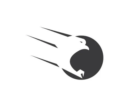 Falcon Eagle Bird Logo Template vector 스톡 일러스트