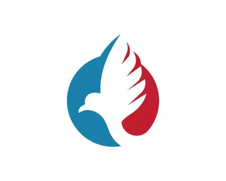 Falcon Eagle Bird Logo Template vector 스톡 일러스트