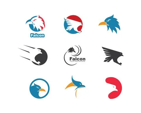 Falcon Eagle Bird Logo Template vector 스톡 일러스트