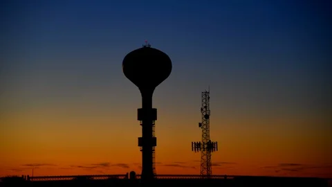 Falcon field time lapse Video stock 122183611