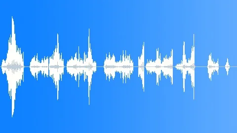Falcon Peregrine Male Sound Effect