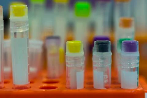 Falcon tubes Stock Photos