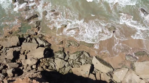 Falcon view Video stock 284261331