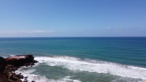 Falcon view Video stock 284261541