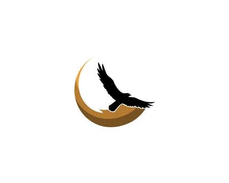 Falcon Wing Logo Template vector icon design 스톡 일러스트