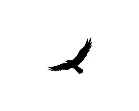 Falcon Wing Logo Template vector icon design 스톡 일러스트