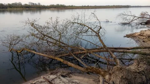 Falen tree in a river during springtime. Stock Footage 272358640