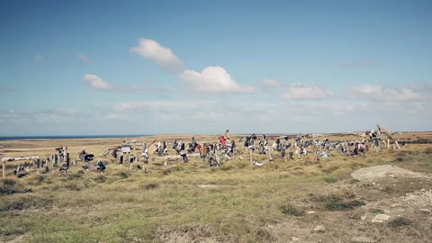 Falkland Islands Attraction Known As Boot Hill In Windy Open Countryside - 4K Stock Footage 345267426