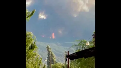 Falkland Islands (Islas Malvinas): Arson Wildfire Forces Mass Evacuations... Stock Footage 326037180