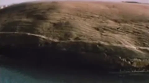Falklands War. The offensive of the British troops. Apr1982  (19) Video stock 232879212