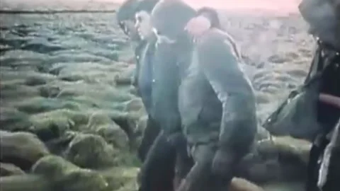 Falklands War. The offensive of the British troops. Apr1982  (34) Stock-Footage 232879324