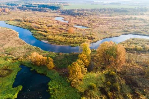 Fall. Above meadow. Foto stock