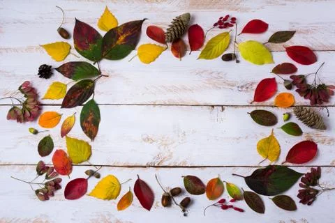 Fall acorns, leaves, cones frame on the white painted table Stock Photos