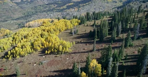 Fall Aerial Flight Over High Alpine Meadow 4K 動画素材 82732367